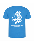 Feniton FC x The Shining Stars Tee v2