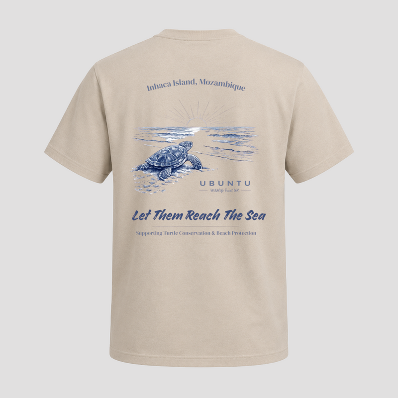 Reach the Sea Tee