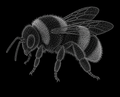 Nexus Bee Oversized Tee