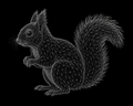 Nexus Squirrel Classic Tee