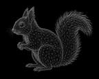 Nexus Squirrel Classic Tee