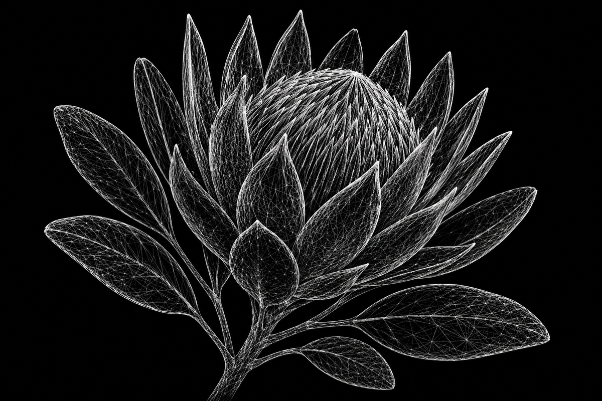 Graphic Artwork - Graphic Artwork