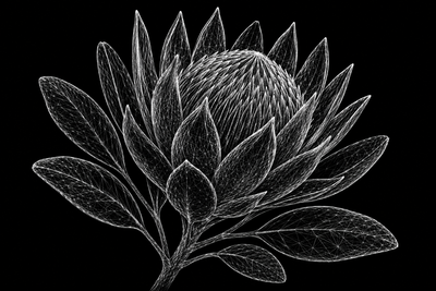 Graphic Artwork - Graphic Artwork
